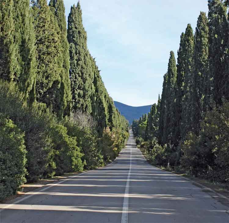 Campo alla Sughera;