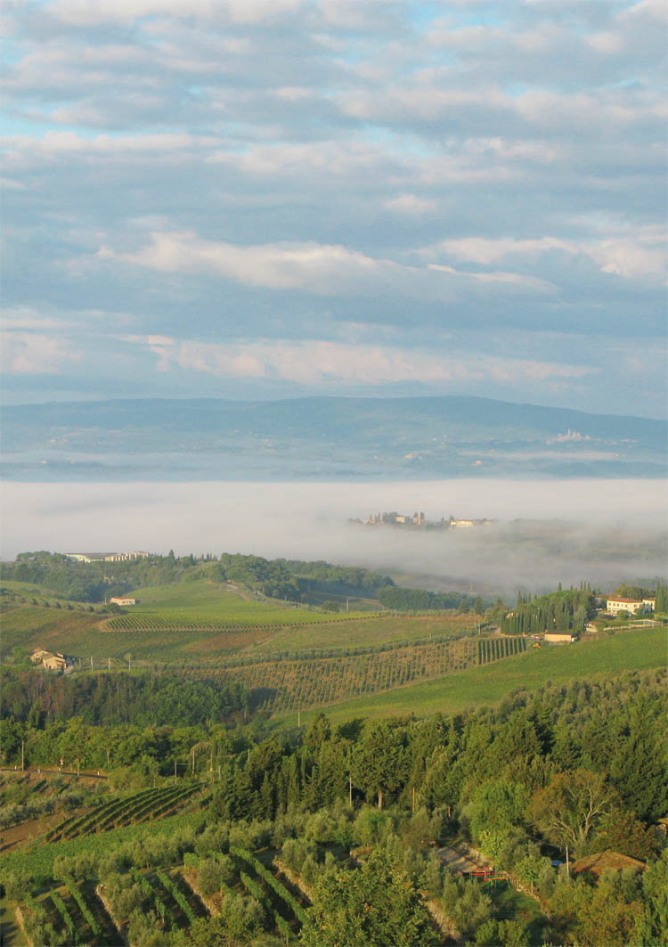 Castagnoli;