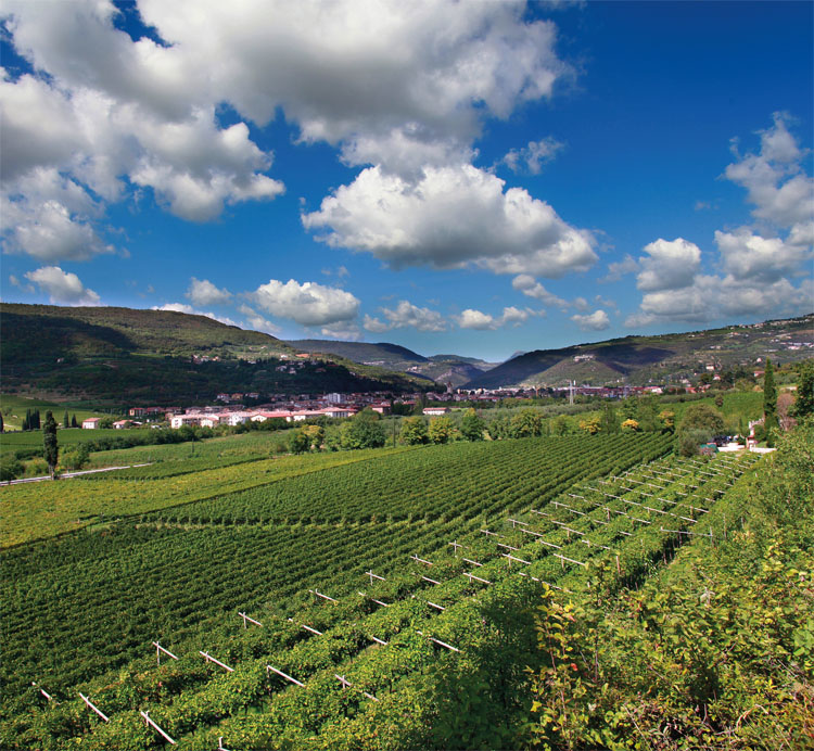 cantina_valpantena;