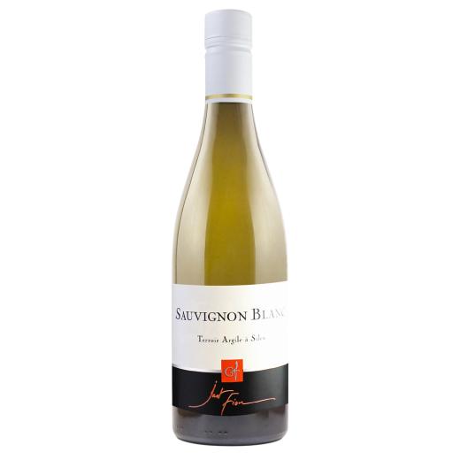 Domaine Gérard Fiou Just Fiou | 2023 | 12er Karton