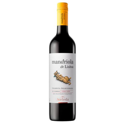 Mandriola de Lisboa Tinto | 2022 | 6er Karton