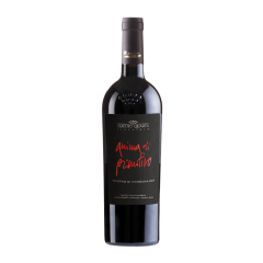 Claudio Quarta | Anima di Primitivo di Manduria D.O.P. | 2022 | 6er Karton