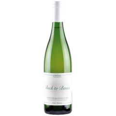 Antonucci | Verdicchio Castelli di Jesi Back to Basics DOC | 2022 | 6er Karton