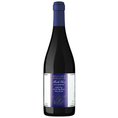 Antonucci | Marche Rosso Stefano Antonucci | 2019 | 6er Karton