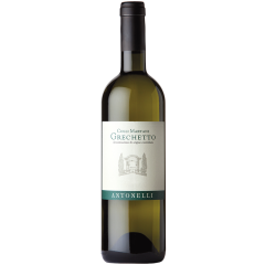 Antonelli | Montefalco Grechetto DOC  | 2024 | 6er Karton