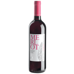 Cantina Colli Euganei | Merlot DOC | 2022 | 6er Karton