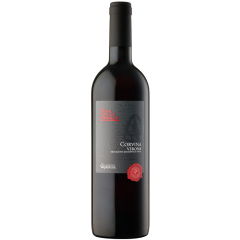 Cantina Valpantena | Corvina Torre del Falasco IGT | 2023 | 6er Karton