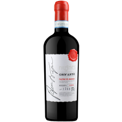 Nugnes | Falerno del Massico Rosso DOC, ONN ANTÒ Riserva | 2017 | 6er Karton