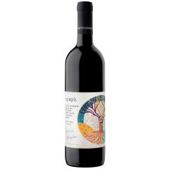 Matteo Correggia | APAPÀ Vino Rosso | 2017 | 6er Karton