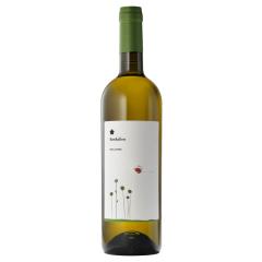 Roccafiore Fiordaliso Bianco IGT | 2024 | 6er Karton