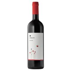 Roccafiore Melograno Rosso IGT | 2022 | 6er Karton