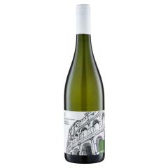 Federici Roma DOC Bianco | 2024 | 6er Karton