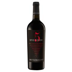 BOTROMAGNO 5 Uve Rosse Puglia IGP | 2021 | 6er Karton