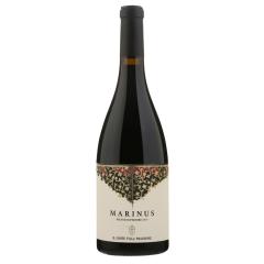 Il Conte Marinus Rosso Piceno Superiore DOP | 2022 | 6er Karton