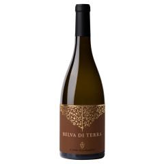 Il Conte Belva d Terra Marche Sauvignon | 2022 | 6er Karton