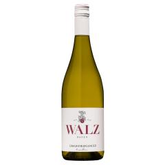 Weingut Walz Grauer Burgunder trocken BIO | 2024 | 6er Karton