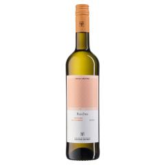 WV Freyburg-Unstrut Bacchus Lieblich QbA | 2023 | 6er Karton