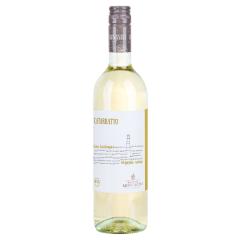 Montalto Organic  Catarratto    Sicilia IGP | 2024 | 6er Karton