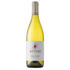 Frescobaldi Attems Pinot Grigio Friuli DOC | 2024 | 6er Karton