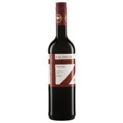 Pinot Noir Baden QbA Fachwerk | 2022 | 6er Karton
