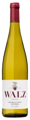Weingut Walz Gutedel BIO | 2025 | 6er Karton