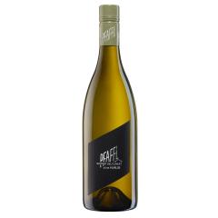 Weingut Pfaffl Grüner Veltliner VOM HAUS | 2024 | 6er Karton